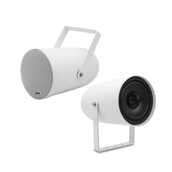 DSP207EN Wall Speaker