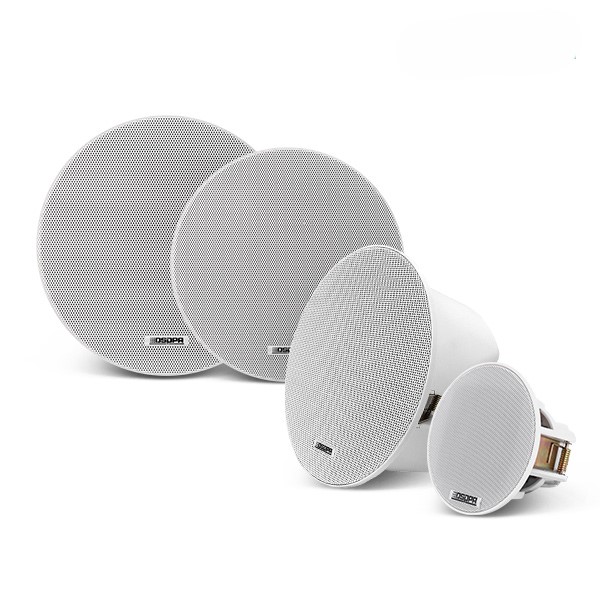 Frameless Ceiling Speaker